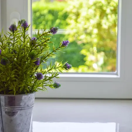 Grande D'hôte Les Chats-pîtres